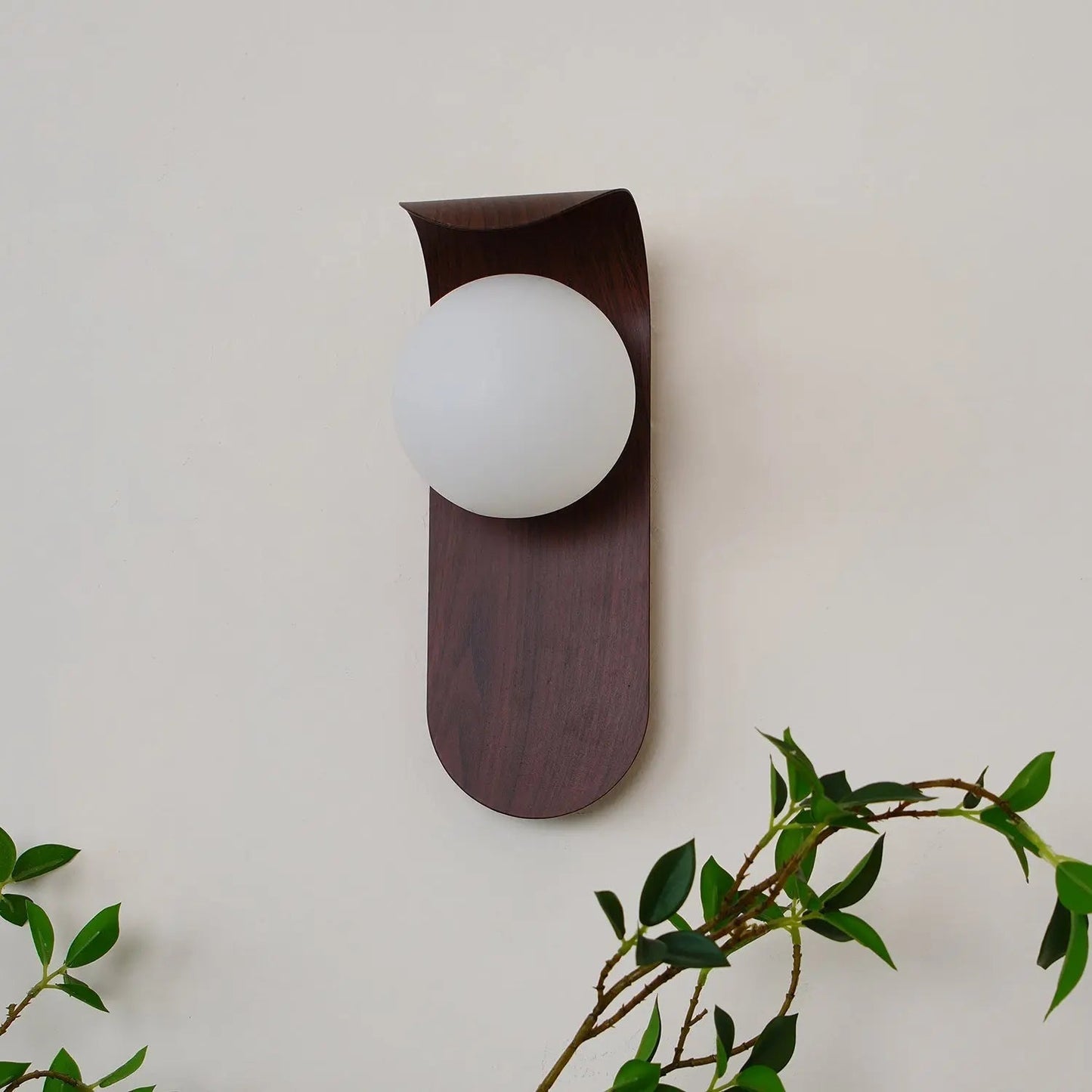 Elegant Contemporary Wall Light Fixture