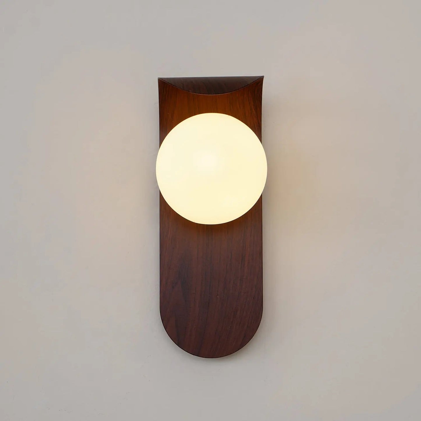Elegant Contemporary Wall Light Fixture
