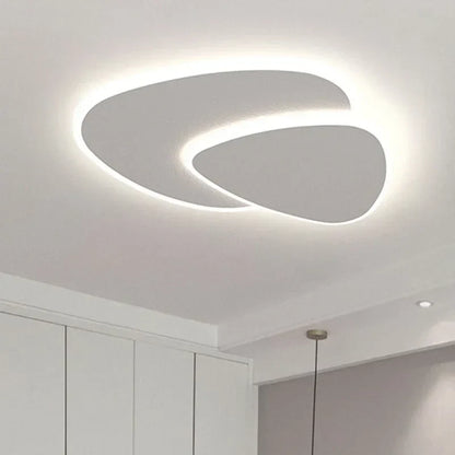 Bright Adjustable LED Ceiling Light Fixture