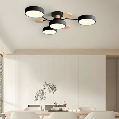 Sleek Low Profile LED Ceiling Light