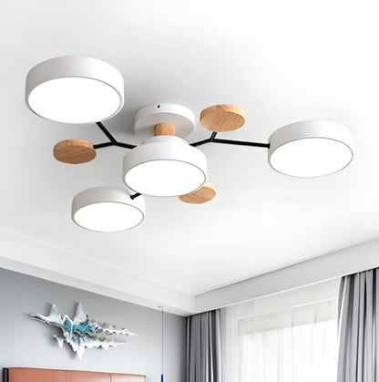 Sleek Low Profile LED Ceiling Light