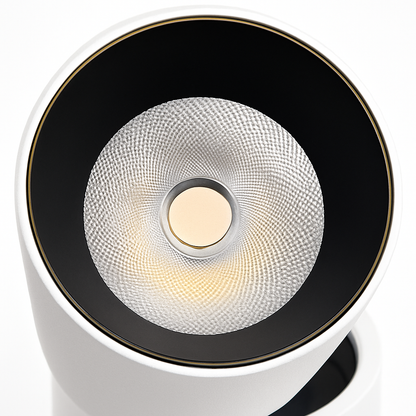 Bright Adjustable 12W LED White Ceiling Light Fixture