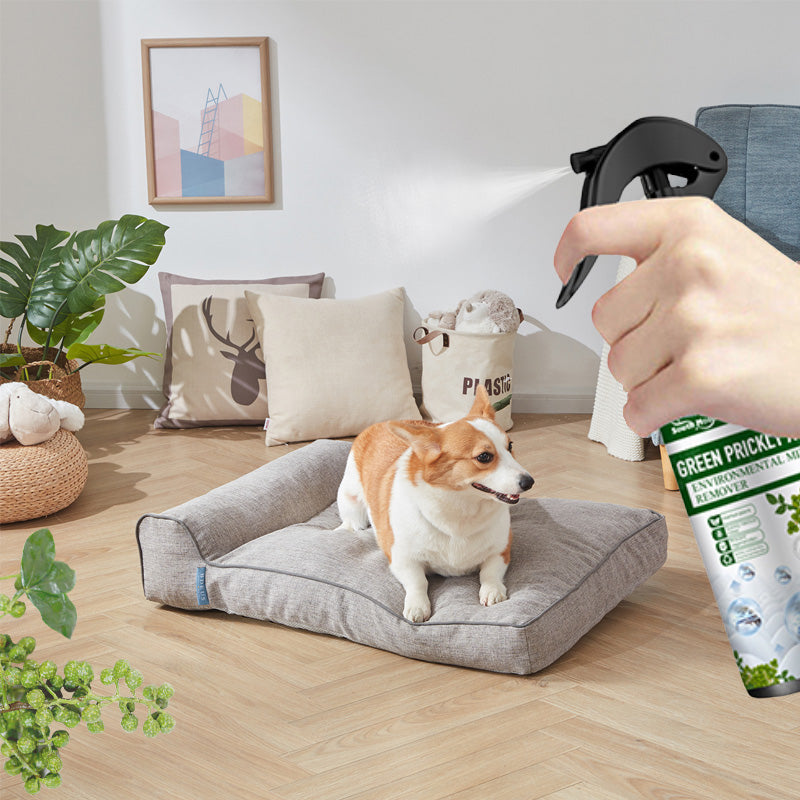 Tough Stain Remover Cleaning Spray