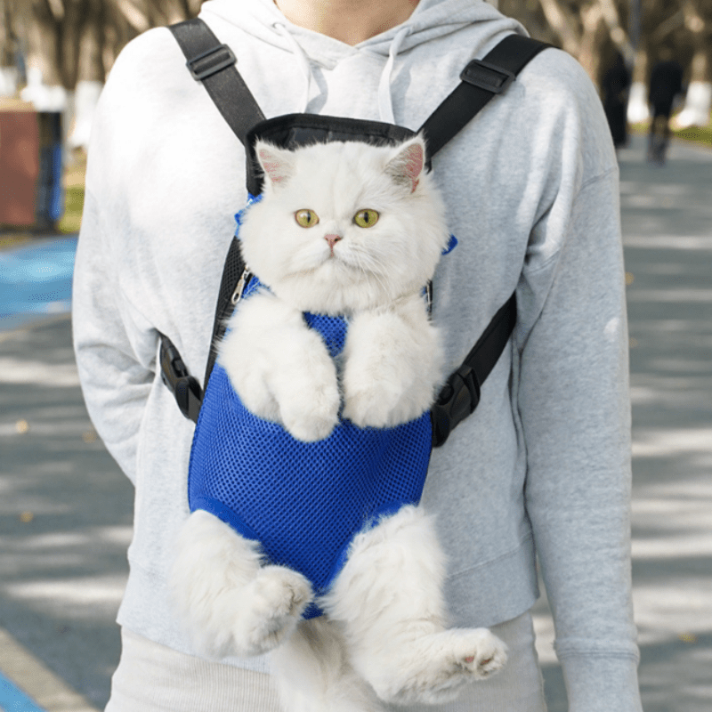 Pet Carrier Backpack | Lightweight & Ventilated