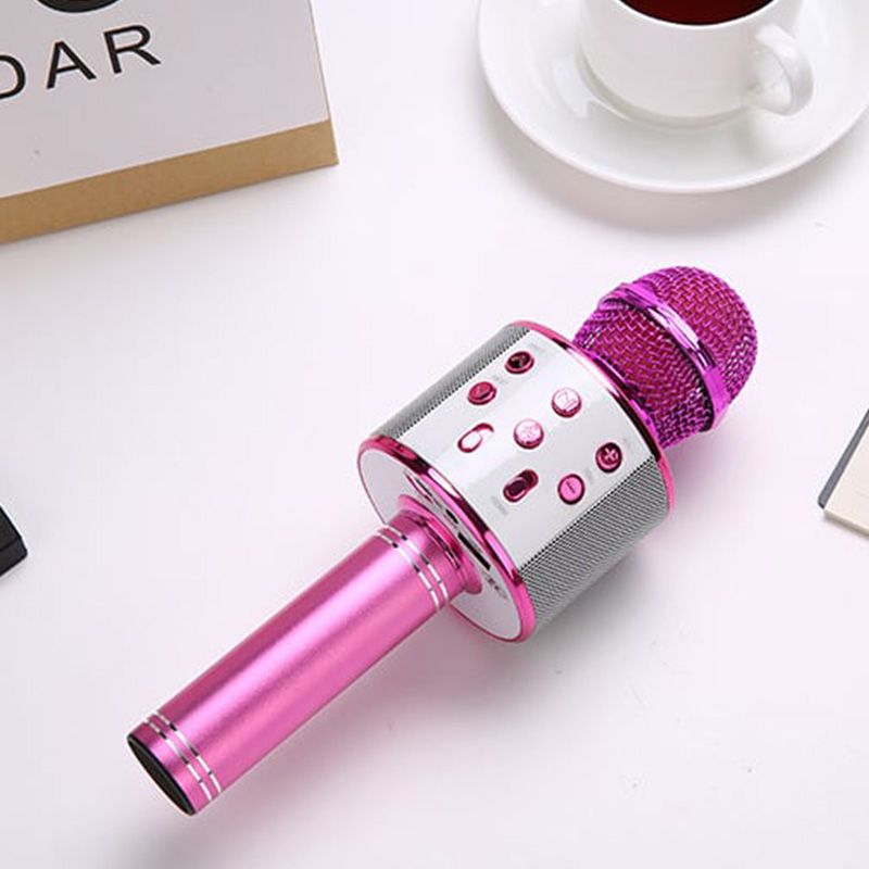 Portable Wireless Karaoke Microphone