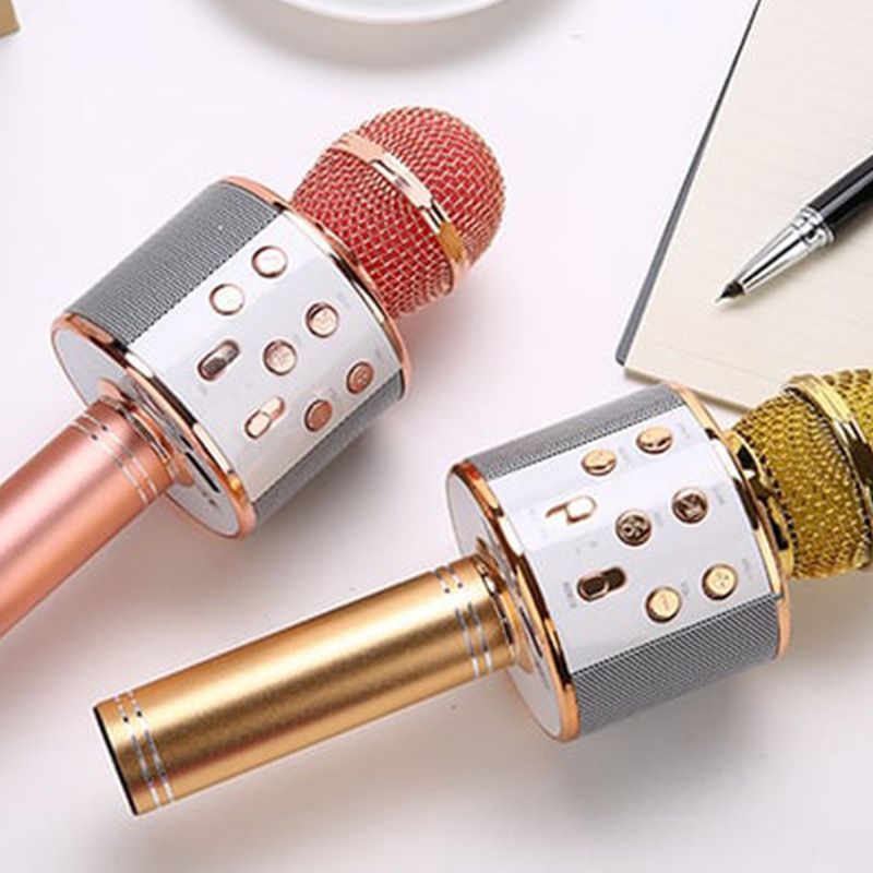 Portable Wireless Karaoke Microphone