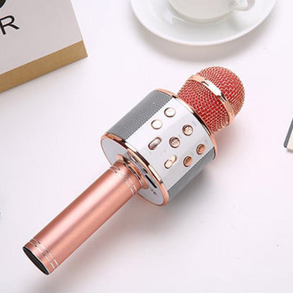 Portable Wireless Karaoke Microphone