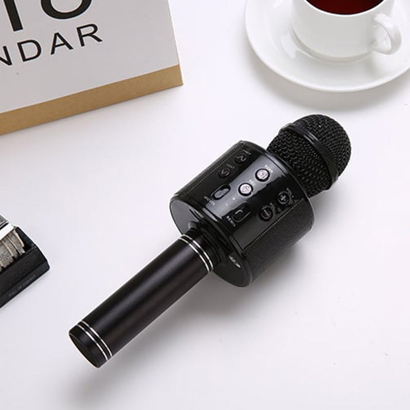 Portable Wireless Karaoke Microphone