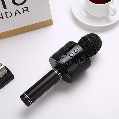Portable Wireless Karaoke Microphone