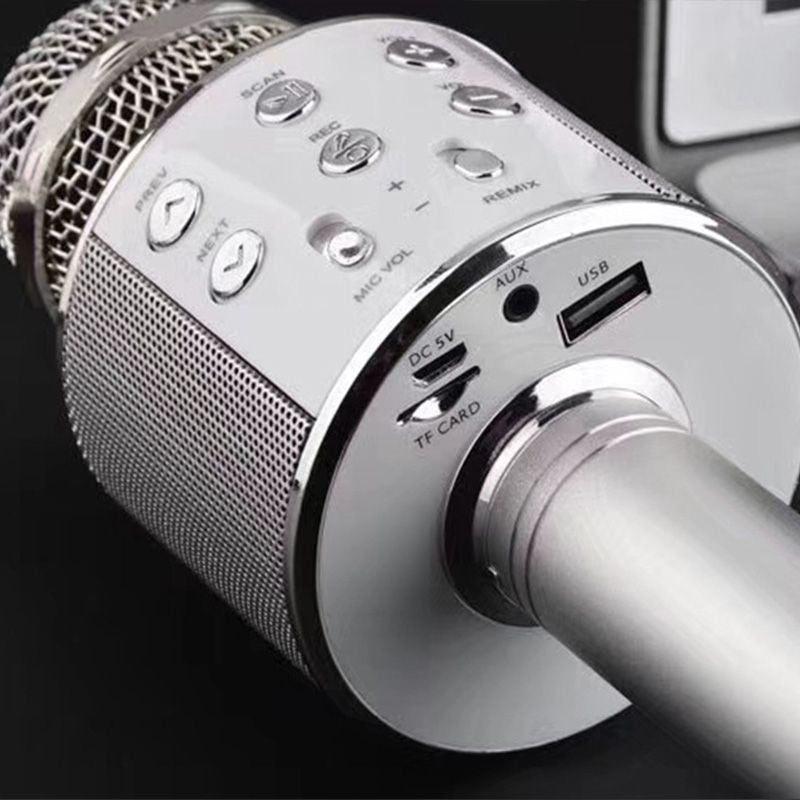 Portable Wireless Karaoke Microphone