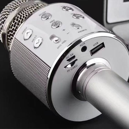 Portable Wireless Karaoke Microphone