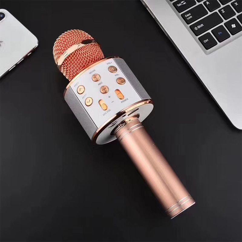 Portable Wireless Karaoke Microphone - Cofik