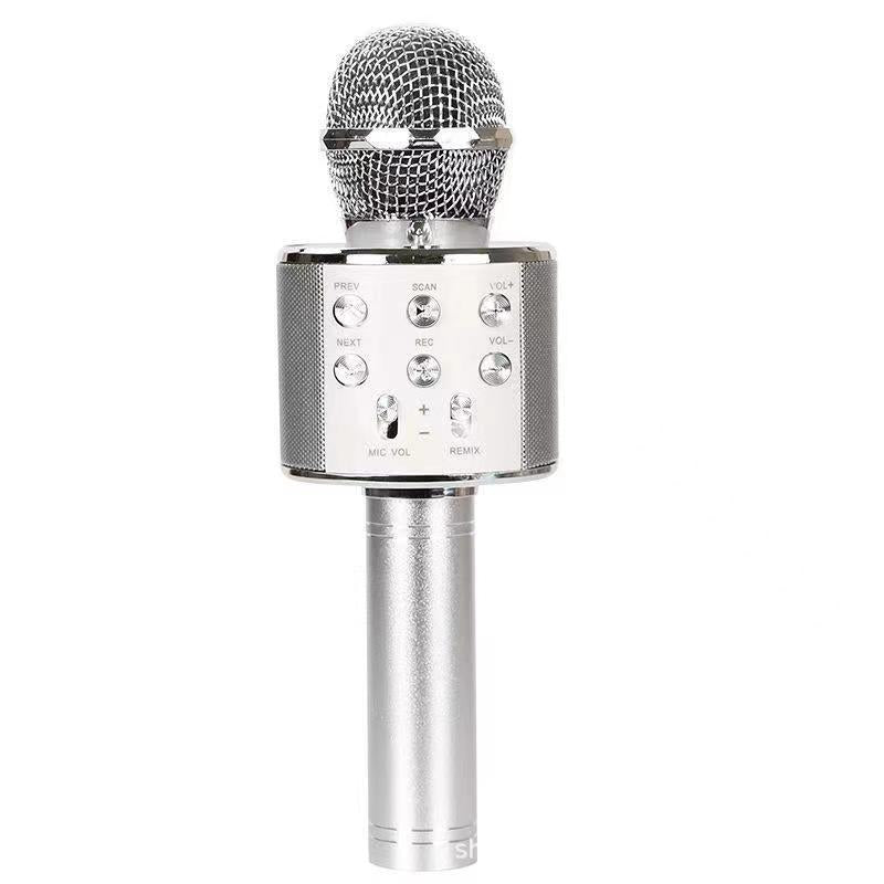 Portable Wireless Karaoke Microphone