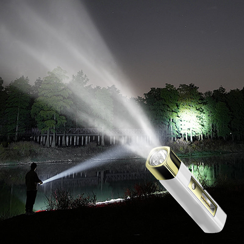 Compact LED Light with Portable Charger