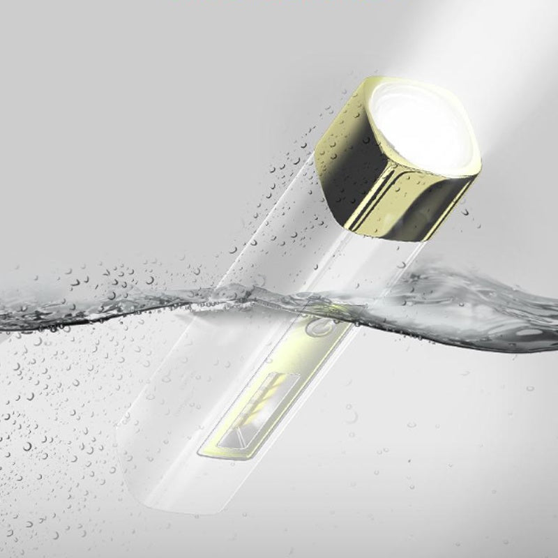 Compact LED Light with Portable Charger