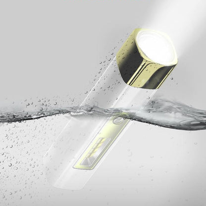 Compact LED Light with Portable Charger