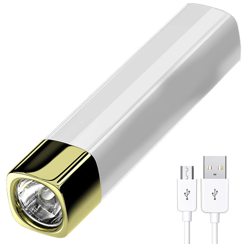 Compact LED Light with Portable Charger