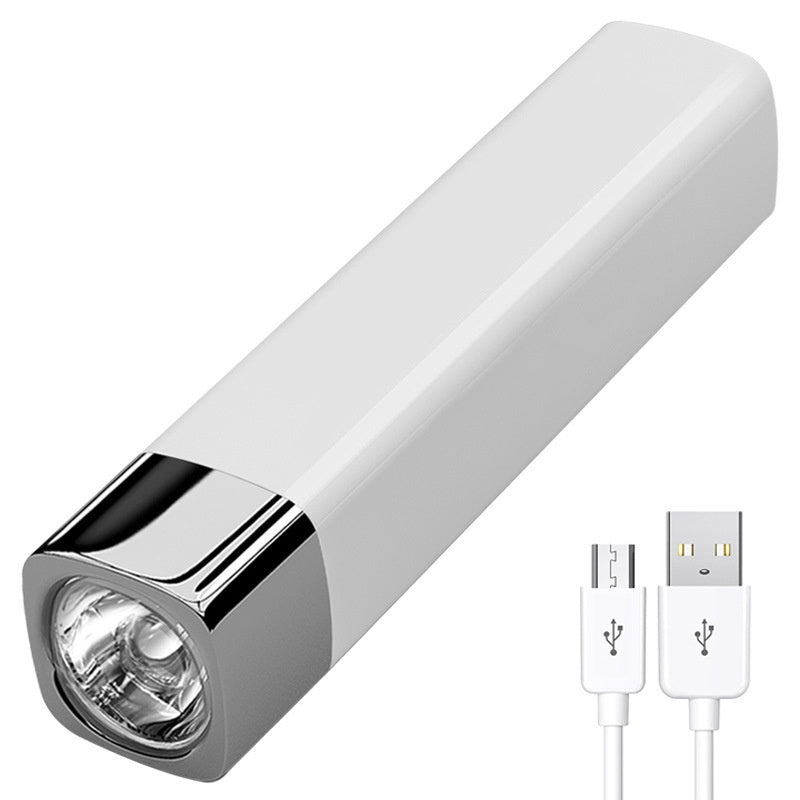 Compact LED Light with Portable Charger