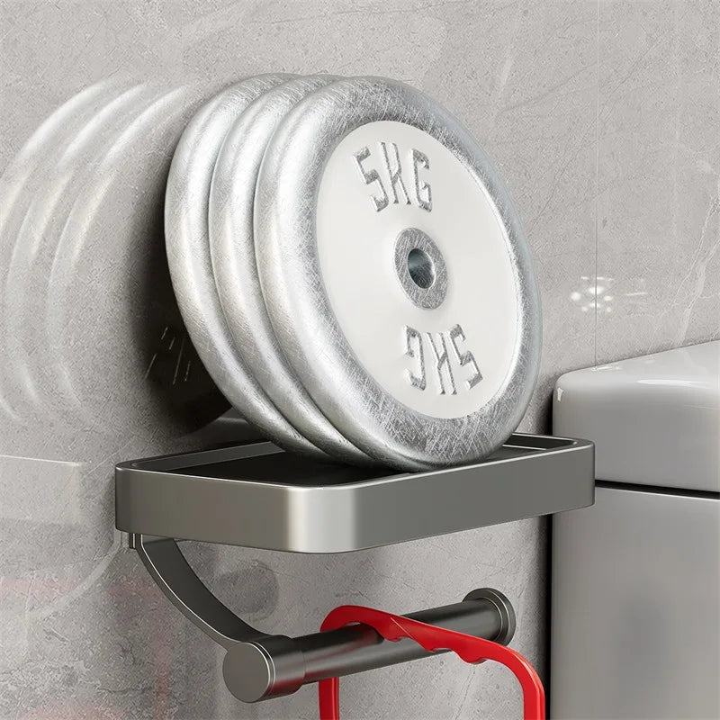 Wall Mounted Toilet Paper Holder with Storage
