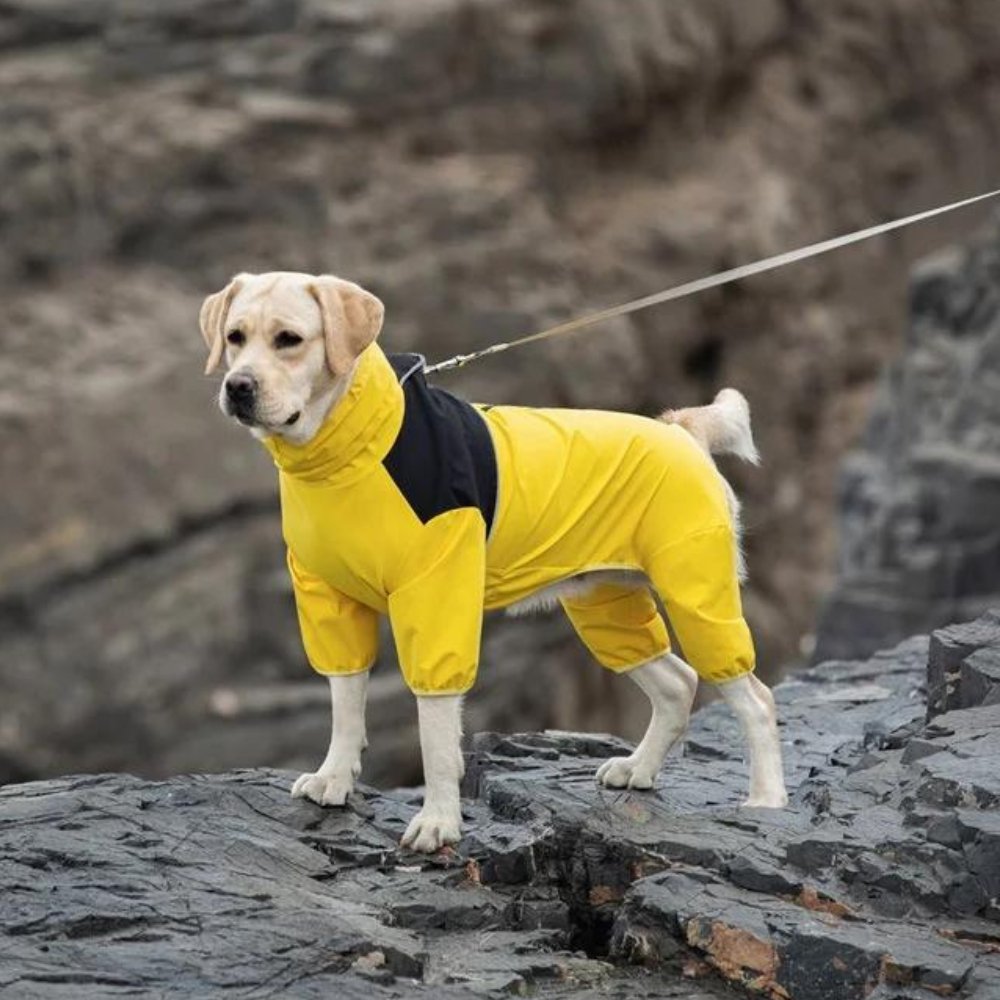 Waterproof Dog Rain Jacket - Cofik