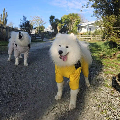 Waterproof Dog Rain Jacket