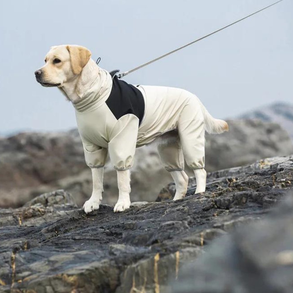 Waterproof Dog Rain Jacket