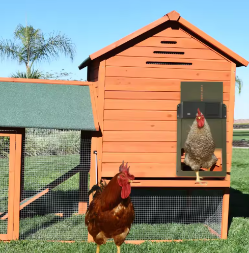 Automatic Chicken Coop Door Opener with Timer - Cofik