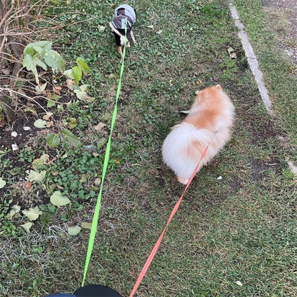 Easy Walk Double Dog Leash