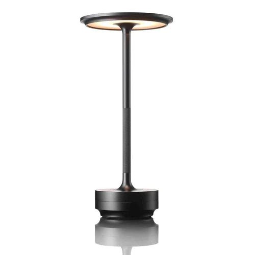 Bright Adjustable Desk Lamp with Rechargeable LED