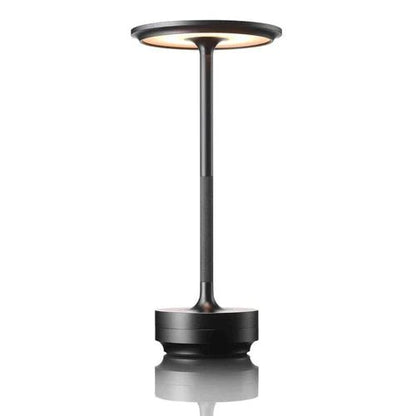Bright Adjustable Desk Lamp with Rechargeable LED