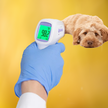 Easy Use Digital Pet Thermometer