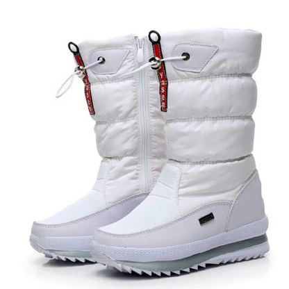 Thick Winter Boots in Plush for Women