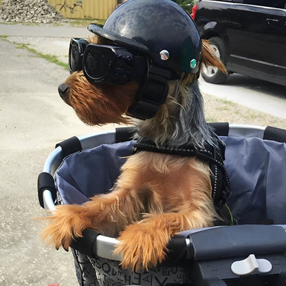 TrailPup Moto Helmet and Goggles for Dogs Safe Fit Riding