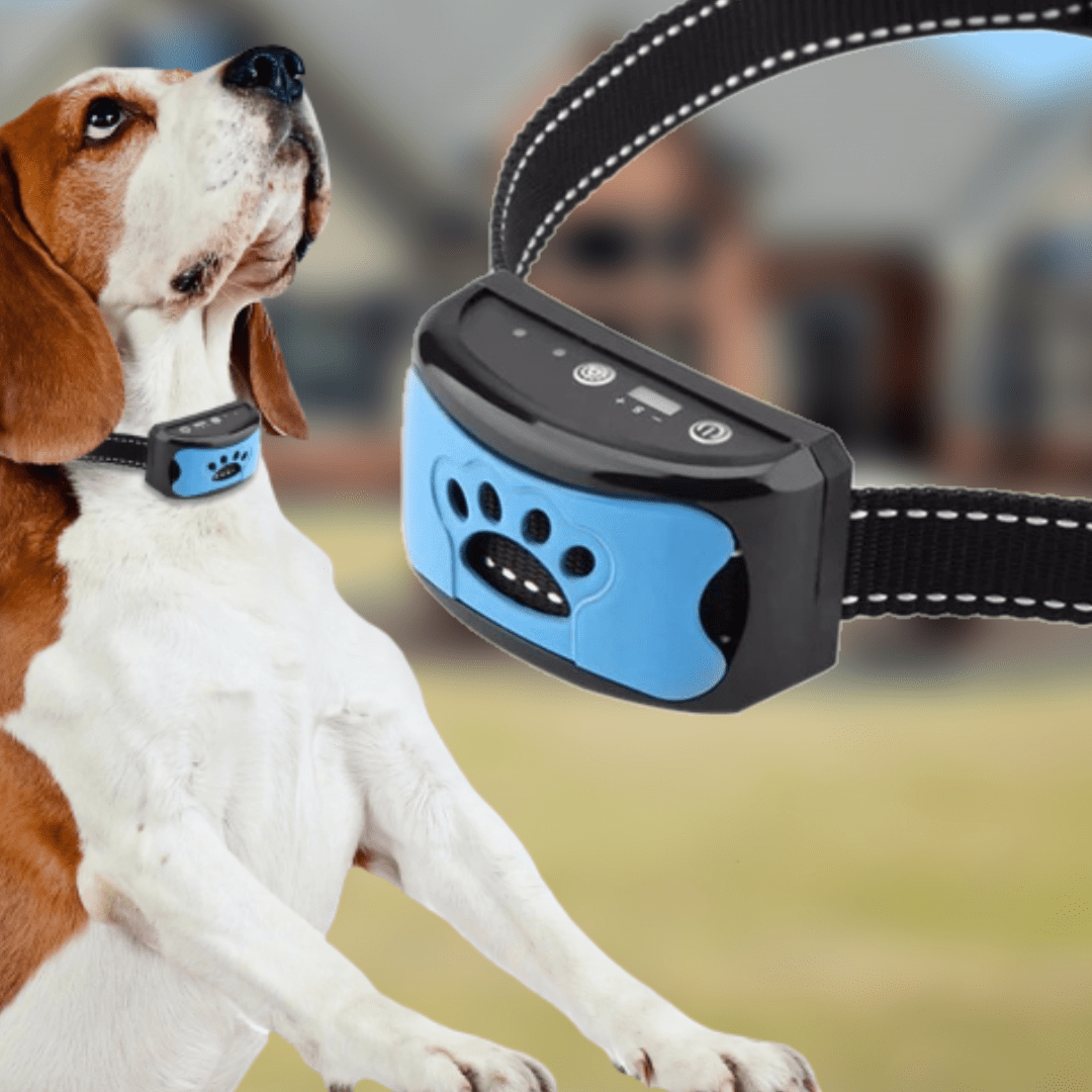 Effective Dog Training Collar with Vibration Mode