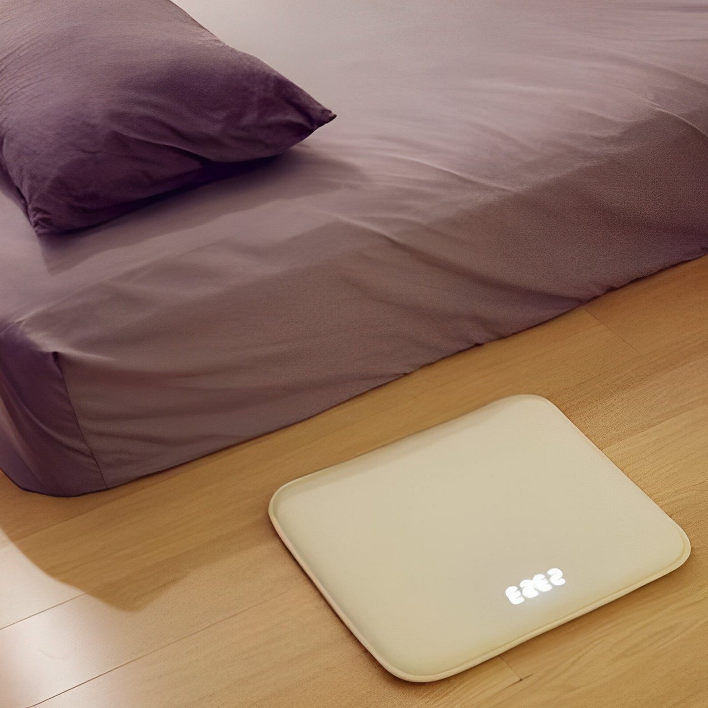 Intelligent Alarm Clock Welcome Mat