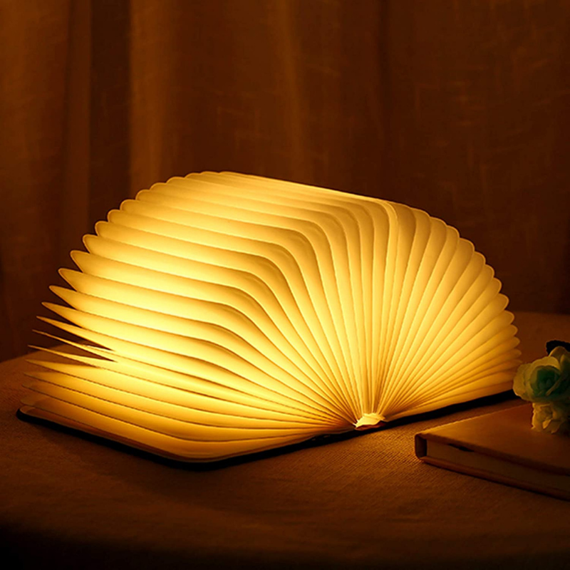 Portable Wooden LED Reading Lamp