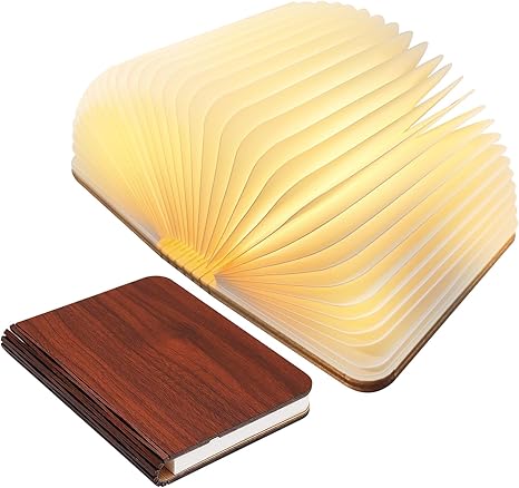 Portable Wooden LED Reading Lamp