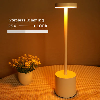 Sleek Silver LED Desk Lamp
