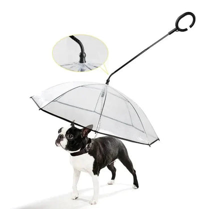 Clear Pet Rain Umbrella