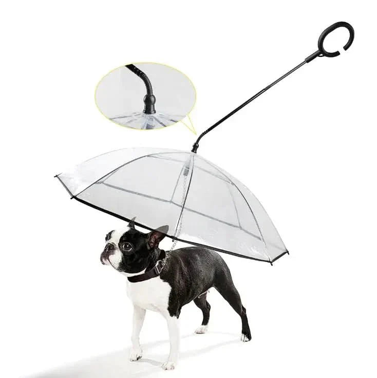 Clear Pet Rain Umbrella - Cofik